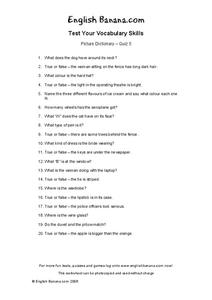 Picture Dictionary Worksheet