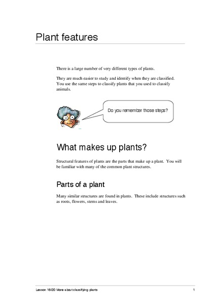 Plant Features Activity