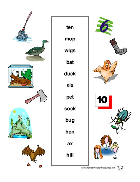 Picture Match Lesson Plan