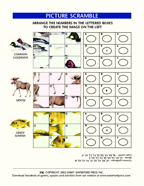 Picture Scramble Lesson Plan