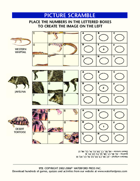 Picture Scramble Worksheet