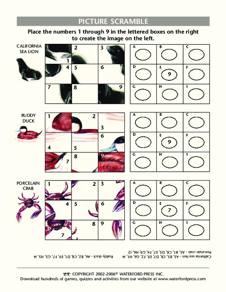 Picture Scramble Lesson Plan