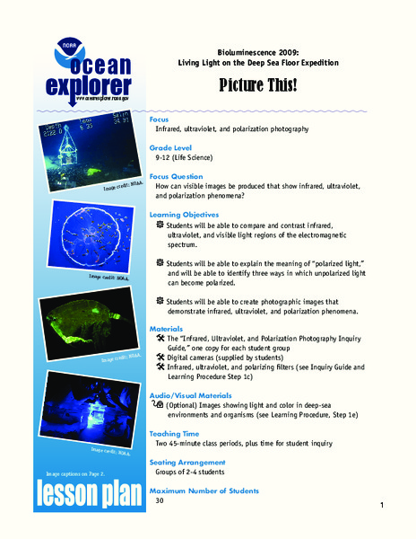Picture This! Lesson Plan