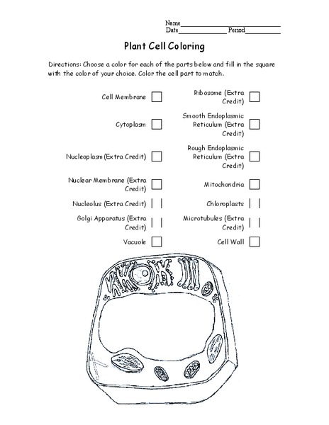 Plant Cell Coloring Lesson Plan
