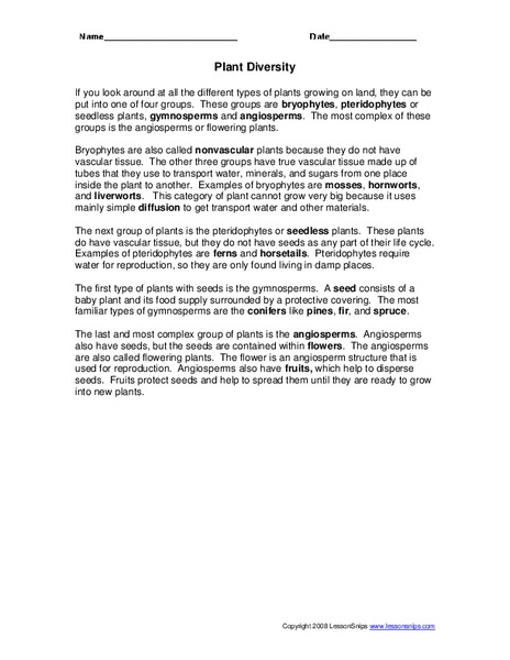 Plant Diversity Worksheet