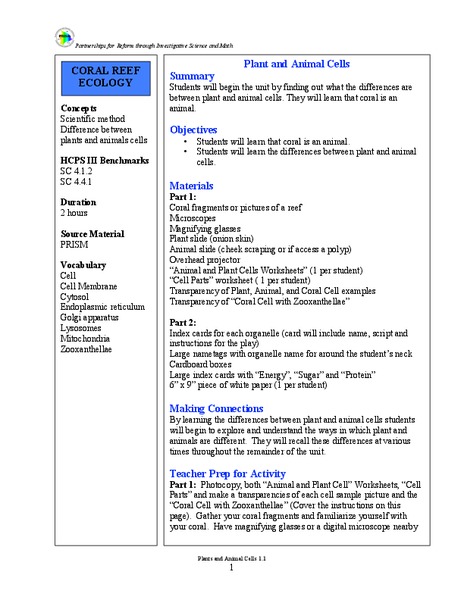 Plant and Animal Cells Lesson Plan