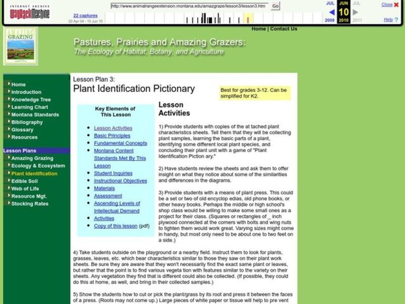 Plant Identification Pictionary Lesson Plan