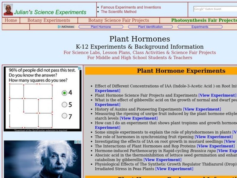 Plant Hormones Lesson Plan
