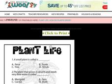 Plant Life Worksheet