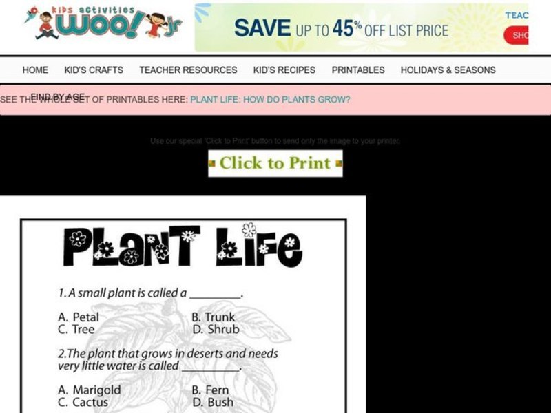 Plant Life Worksheet