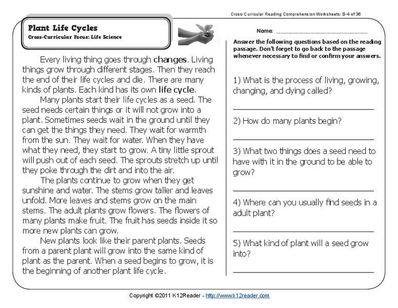 Plant Life Cycles Worksheet