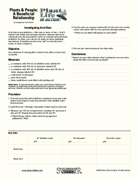 Plant Life In Action Organizer