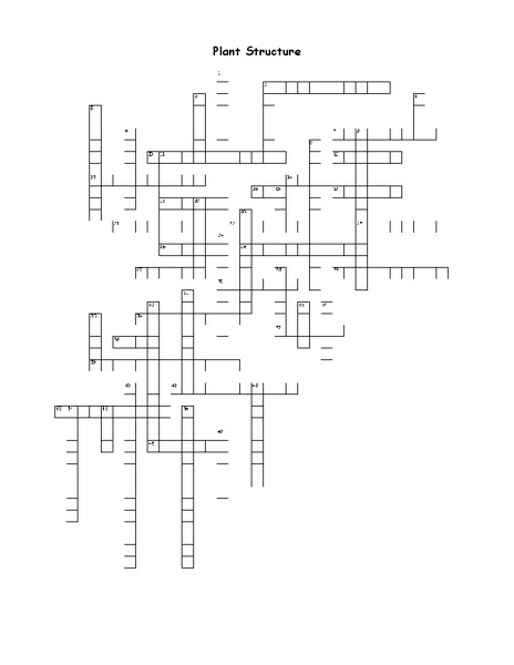 Plant Structure Worksheet