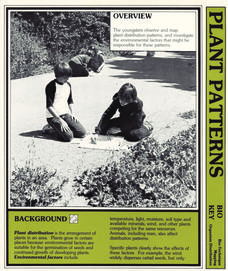 Plant Patterns Lesson Plan