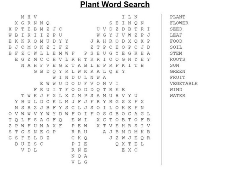 Plant Word Search Worksheet