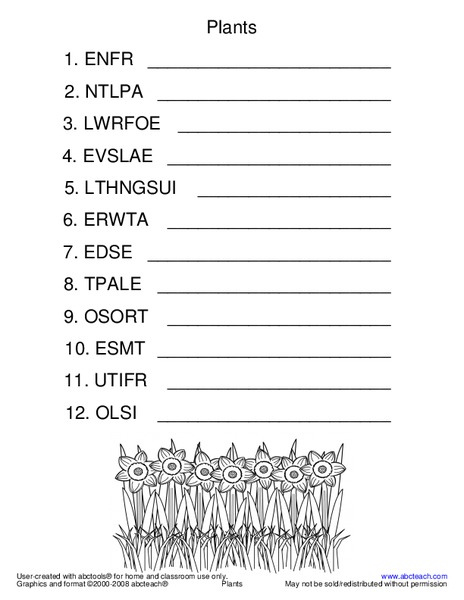 Plants Worksheet