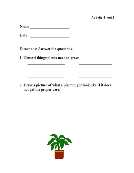 Plants Worksheet