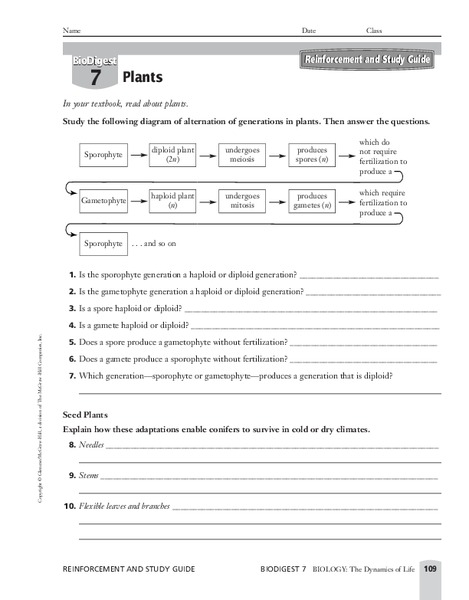 Plants Worksheet