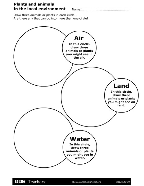 Plants and Animals in the Local Environment Organizer