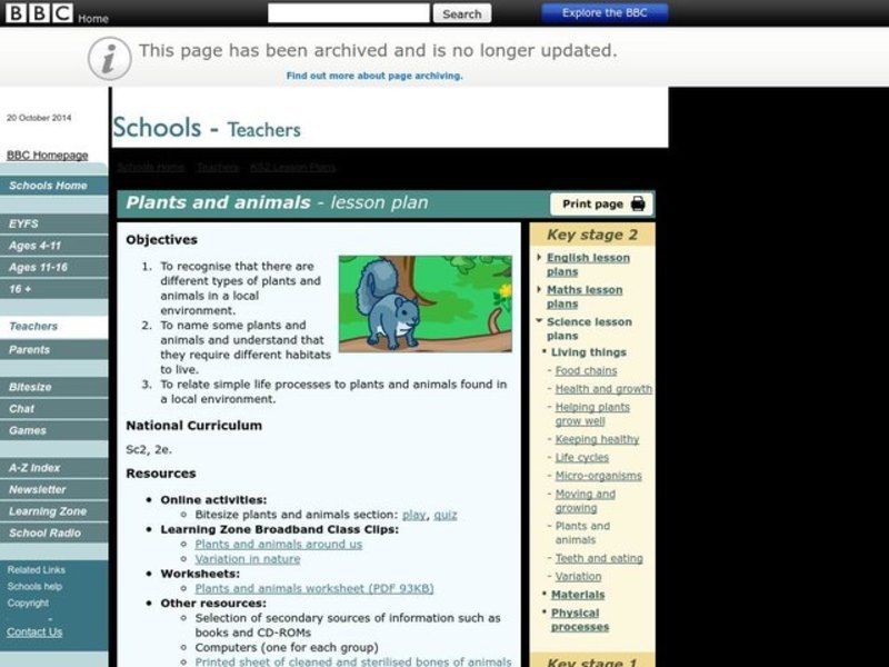 Plants and Animals Lesson Plan