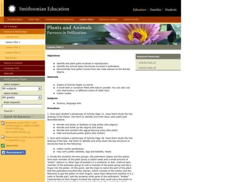 Plants and Animals: Partners in Pollination Lesson Plan