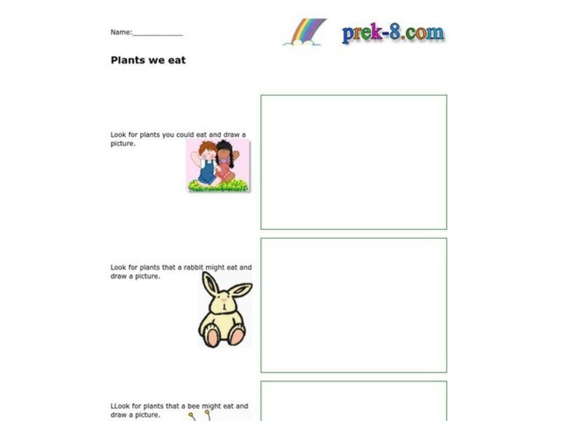 Plants We Eat Worksheet