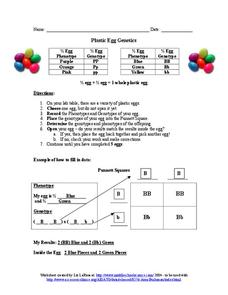 Plastic Egg Genetics Organizer