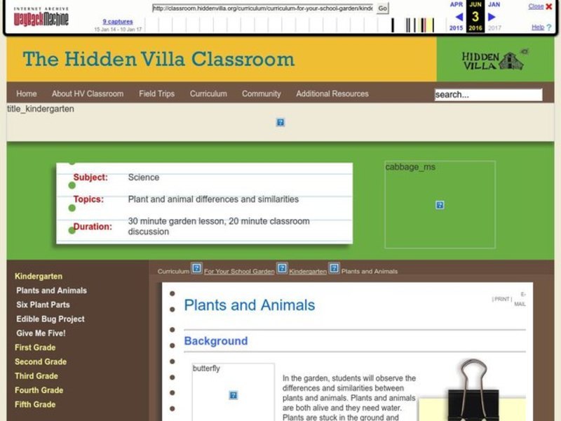 Plants and Animals Lesson Plan