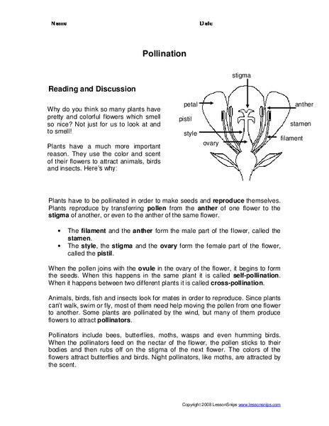 Pollination Worksheet