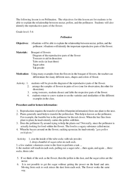 Pollination Lesson Plan