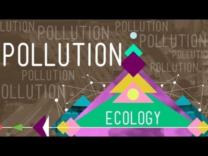 Pollution Instructional Video