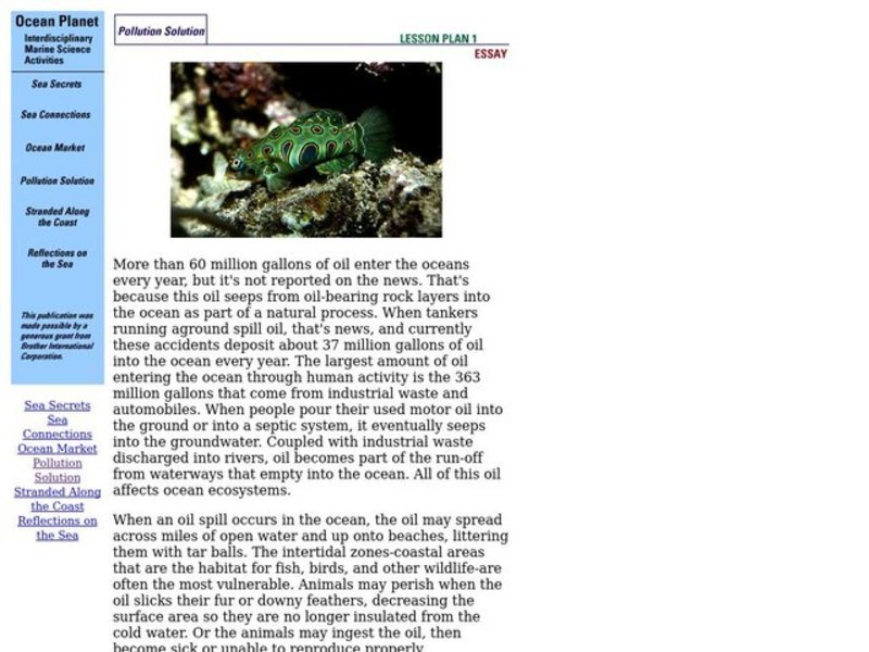 Pollution Solution Lesson Plan