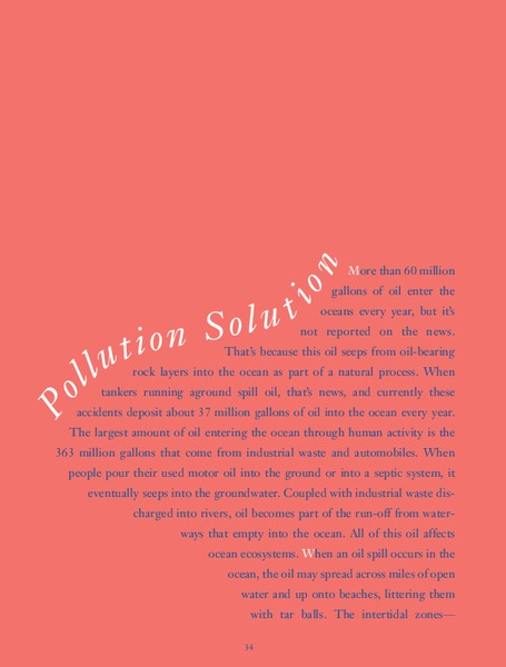 Pollution Solution Lesson Plan