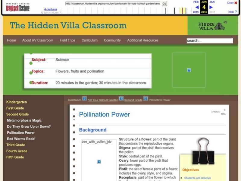 Pollination Power Lesson Plan
