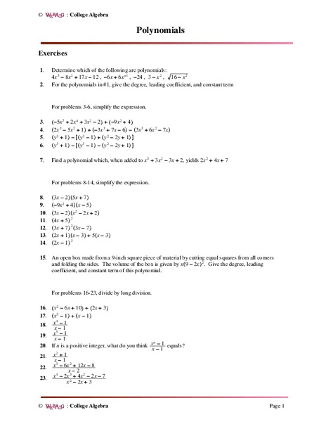 Polynomials Worksheet