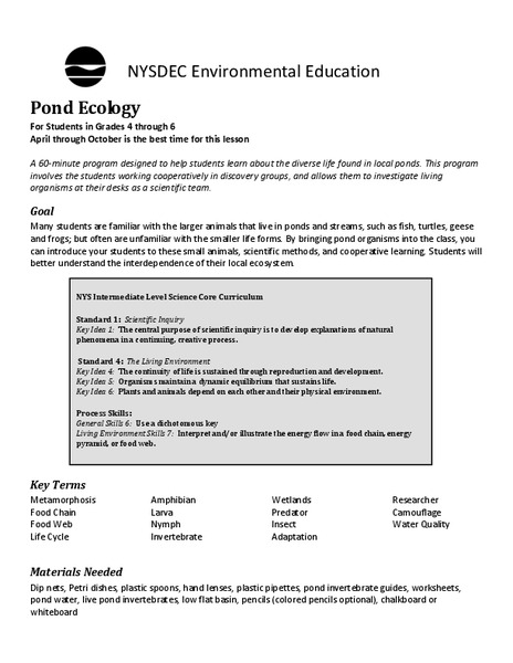 Pond Ecology  Lesson Plan
