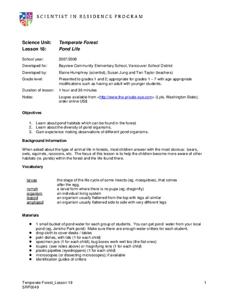 Pond Life Lesson Plan