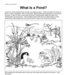 Pond Animals Worksheet