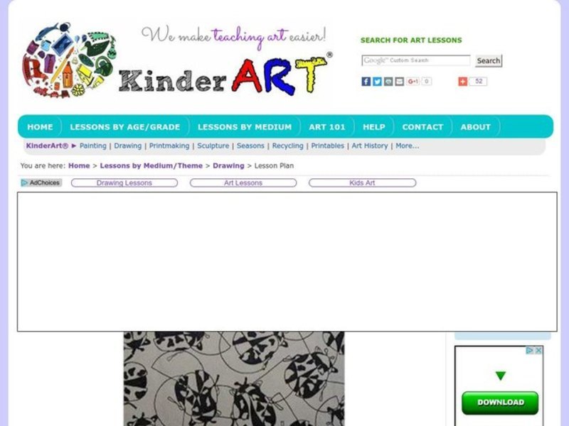 Positive/Negative Bugs Lesson Plan