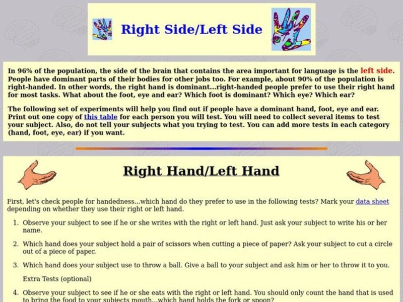 Neuroscience for Kids - Sidedness Lesson Plan