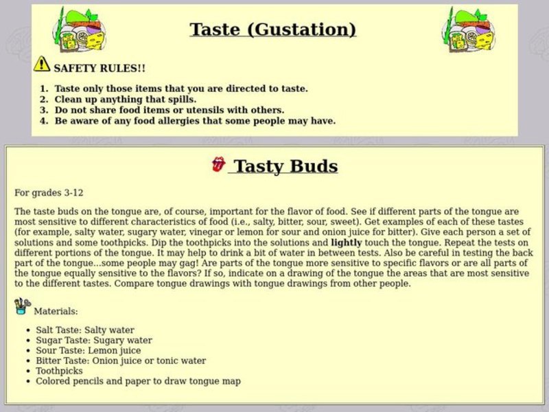 Taste (Gustation) Lesson Plan