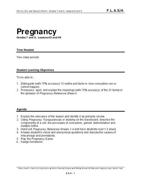 Pregnancy Lesson Plan