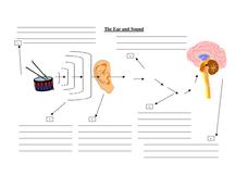 Primary Resources Organizer
