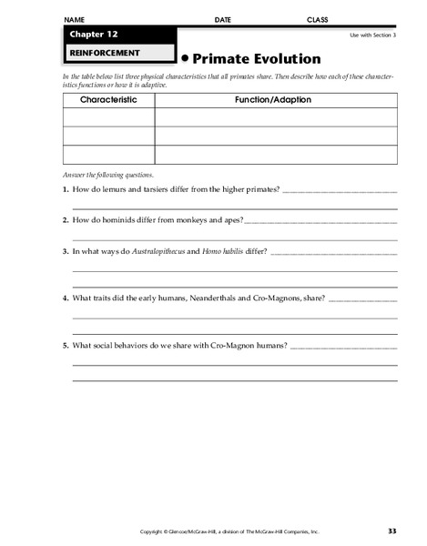 Primate Evolution Worksheet