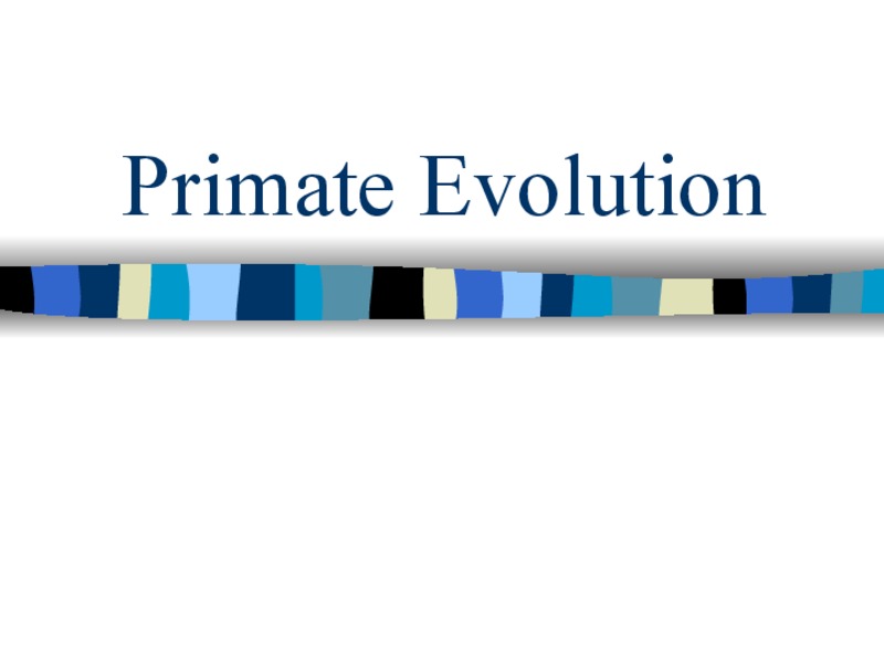 Primate Evolution PPT