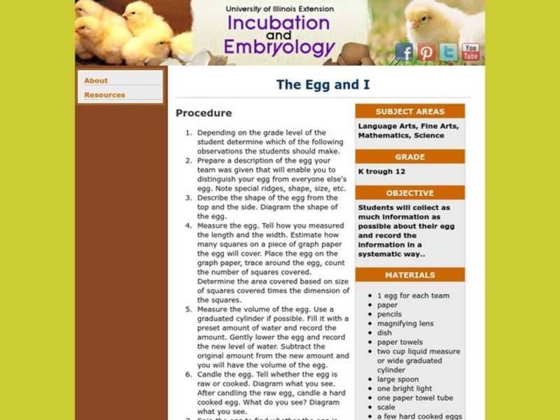 The Egg and I Lesson Plan
