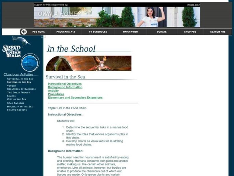 Secrets of the Ocean Realm - Survival in the Sea Lesson Plan