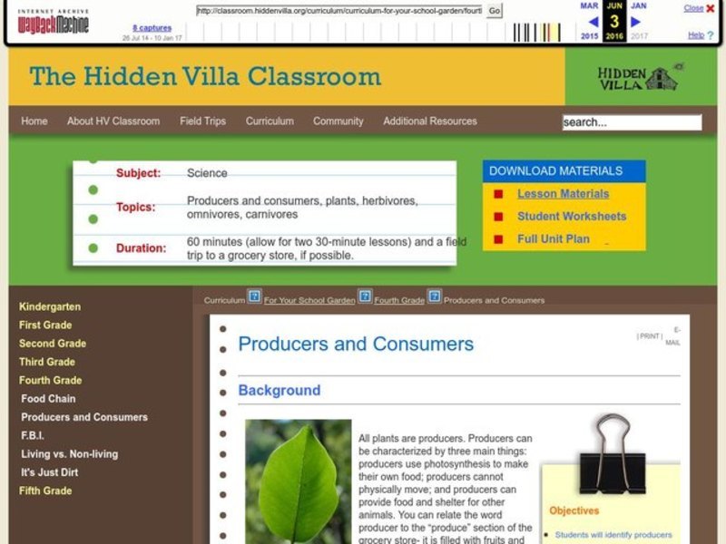 Producers and Consumers Lesson Plan