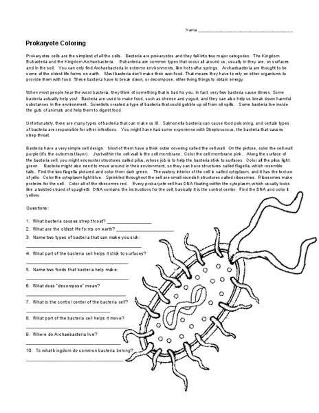 Prokaryote Coloring Worksheet