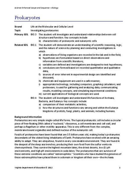 Prokaryotes Lesson Plan